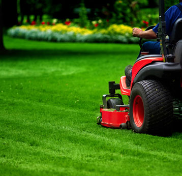 Lawn Mowing